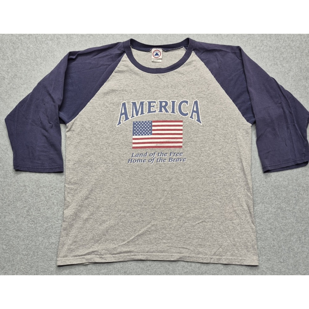 Delta T-Shirt Mens L Gray Pro Weight America USA Flag Graphic Raglan Baseball